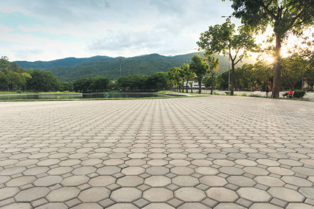 Best Residential Paver Driveway  in Hydro, OK