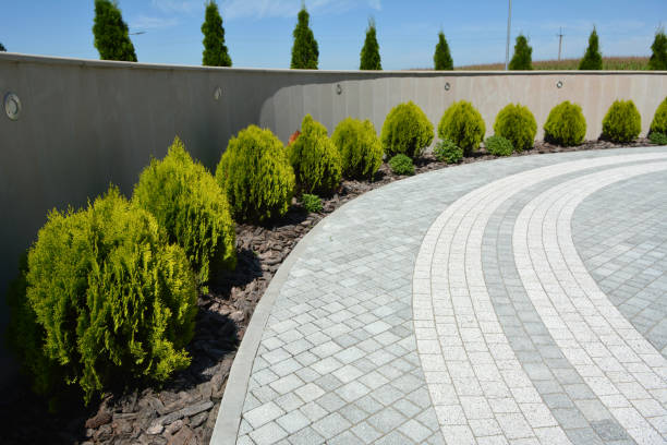 Reasons to Select Us for Your Driveway Paving Requirements in Hydro, OK